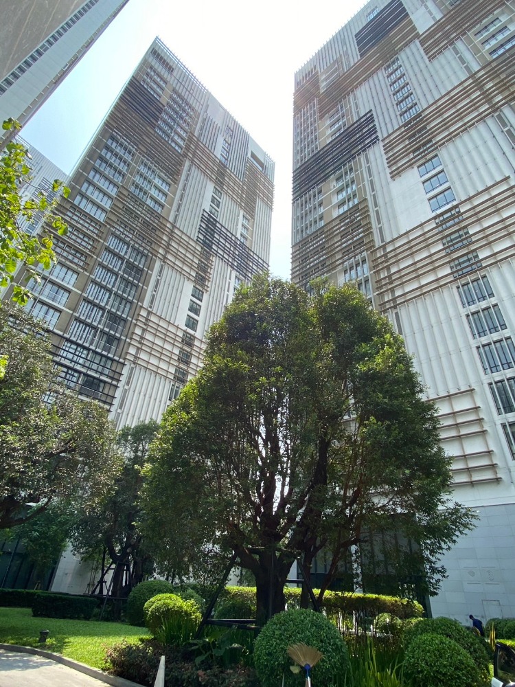 ขายคอนโดสุขุมวิท อโศก ทองหล่อ : Park Origin Phrom Phong Condominium for urgent sale Sandly