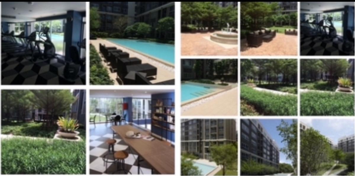 For SaleCondoPinklao, Charansanitwong : For sale: D Condo Campus project, Ratchapruek Charan 13, Building B, 1st floor, garden view room, with tenants, 7,500 baht per month