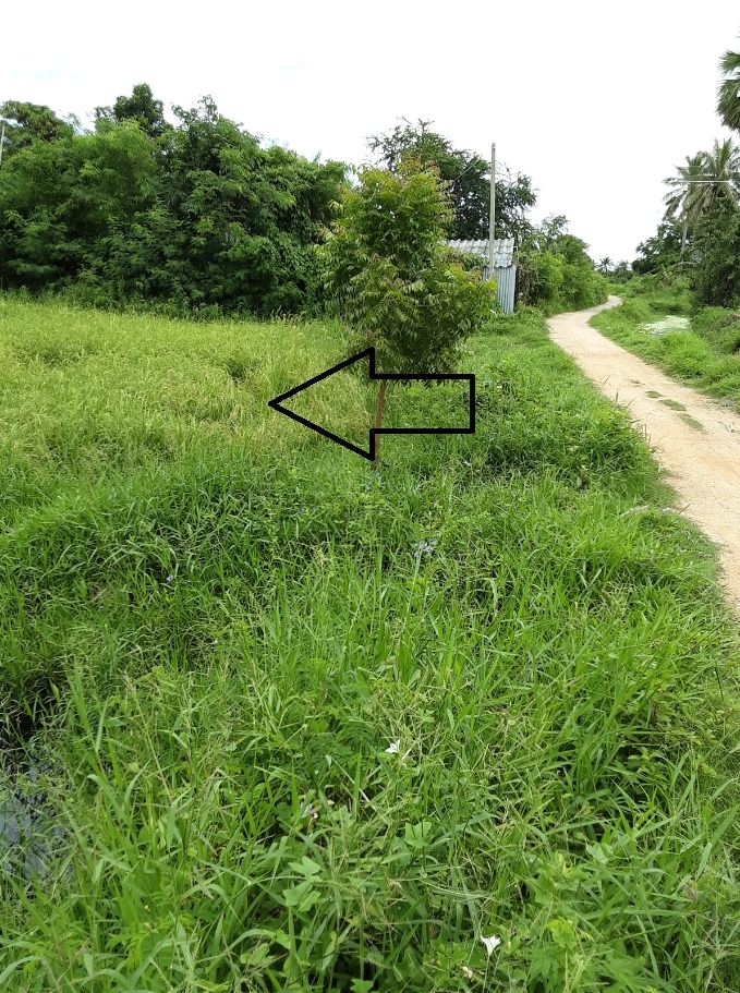 For SaleLandCha-am Phetchaburi : For sale: vacant land next to the road, prime location, Mueang Phetchaburi District, Phetchaburi Province