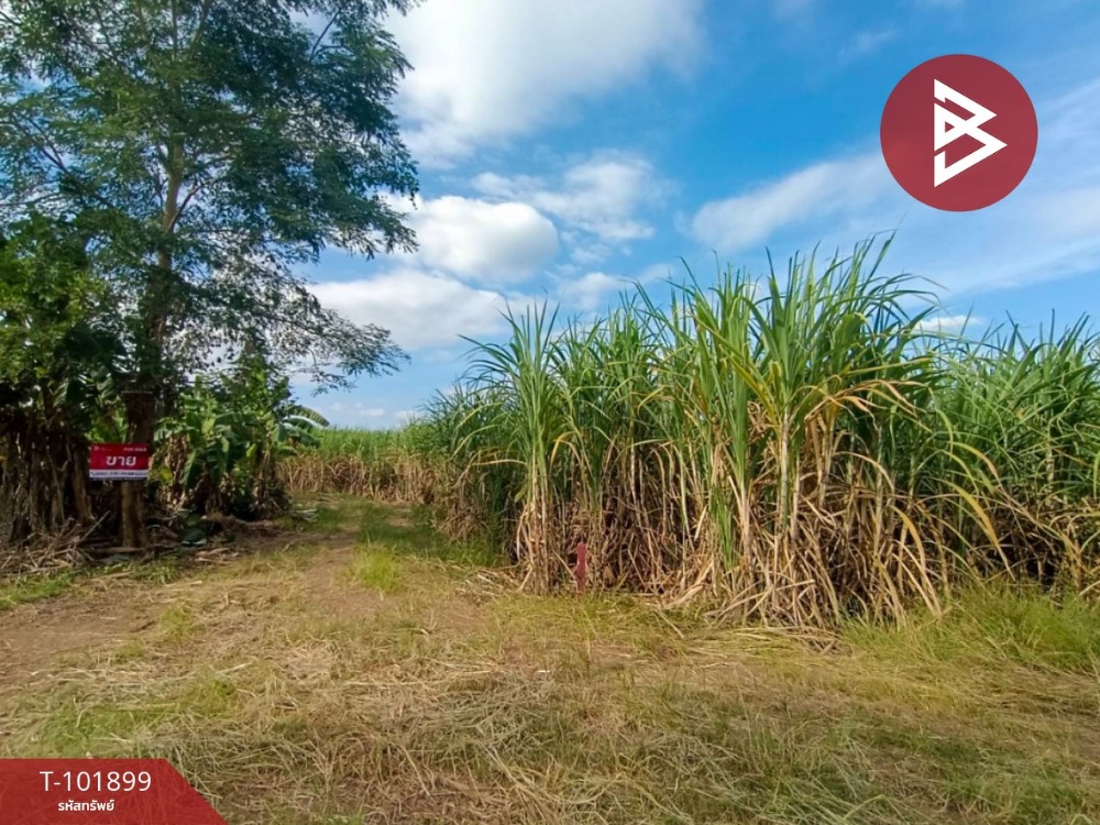 For SaleLandPhetchabun : Urgent sale of land, 307.4 square wah, Nong Phai, Phetchabun