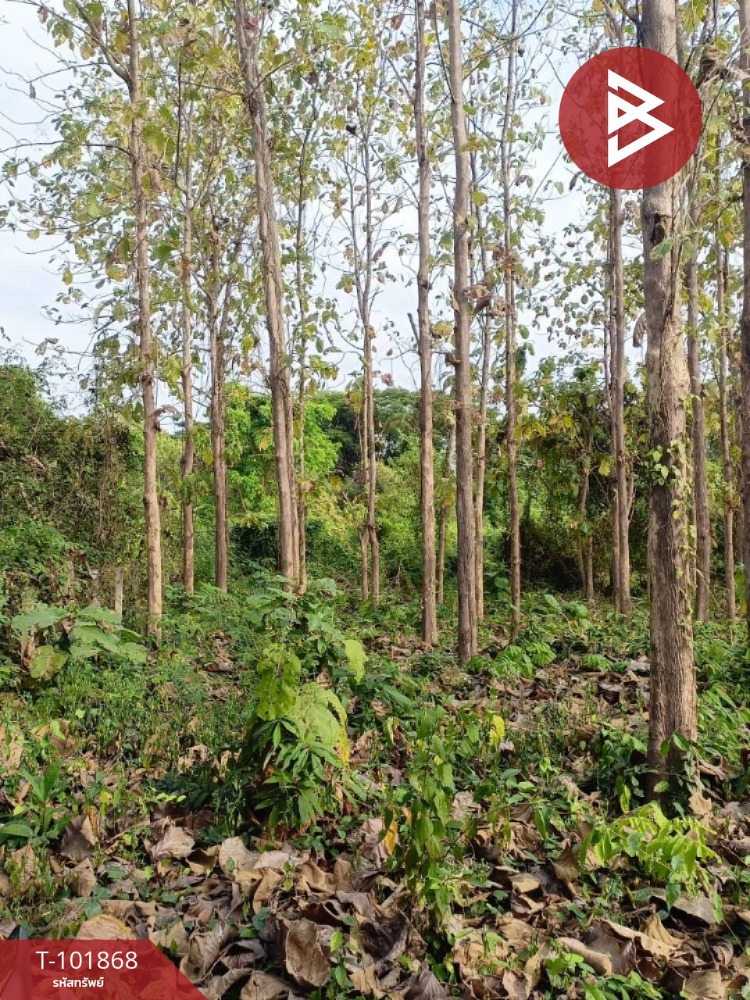 For SaleLandUttaradit : Land for sale, area 3 ngan 69 sq.wa, Laplae, Uttaradit