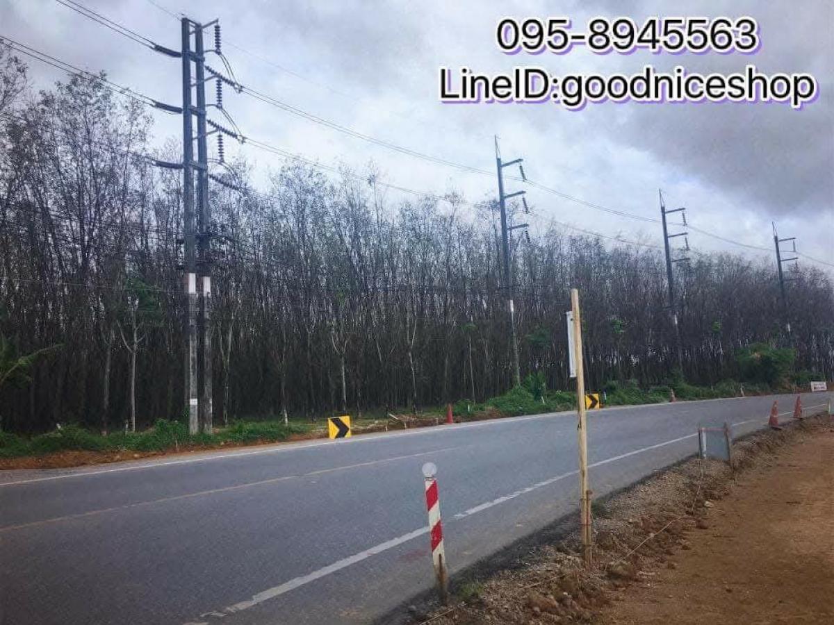 For SaleLandPhuket : Land for sale in Phuket 9 Rai on the main road 