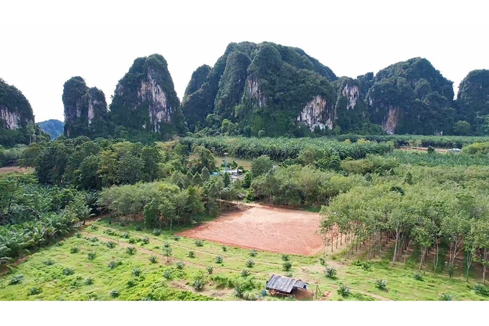 For SaleLandKrabi : Land for Sale - Red Title Deed!