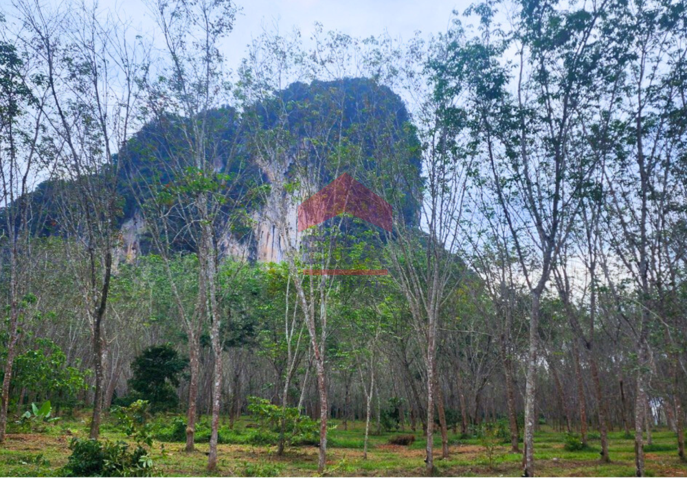 For SaleLandKrabi : Captivating Freehold Land in Nong Thale, Krabi