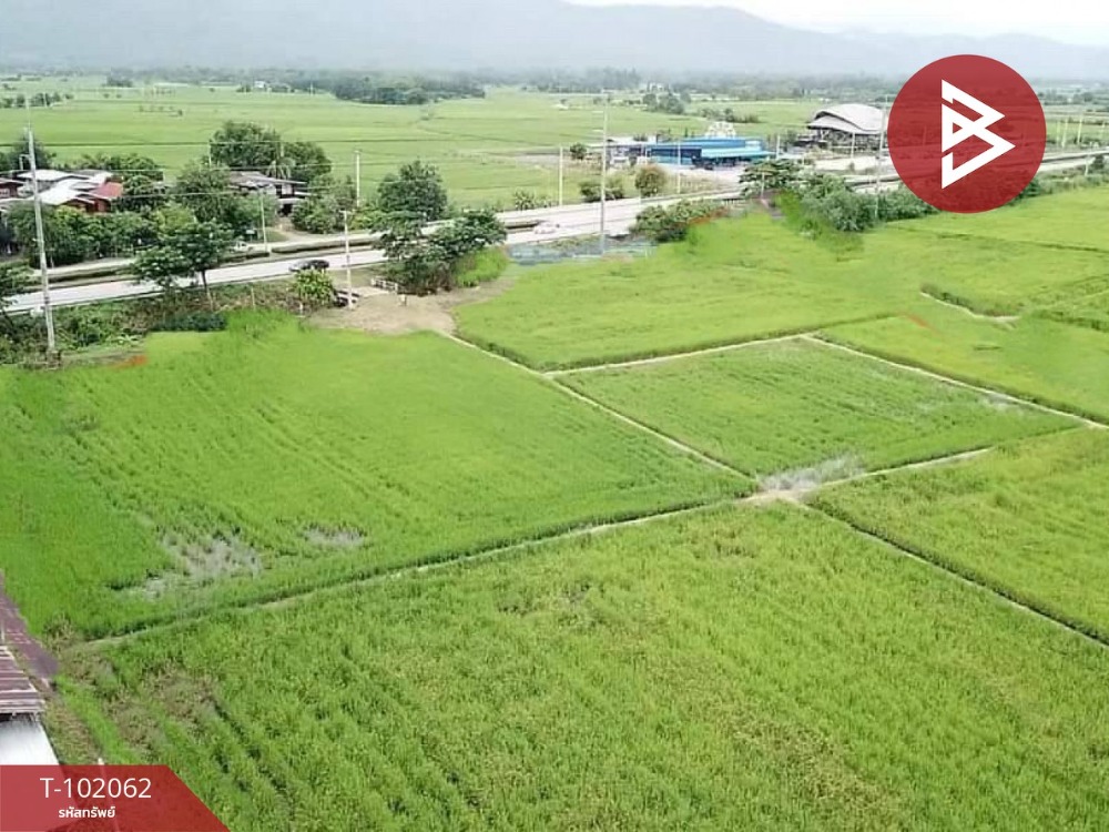 For SaleLandPhetchabun : Land for sale, area 8 rai 3 ngan 48 sq m, Tha Phlo, Phetchabun