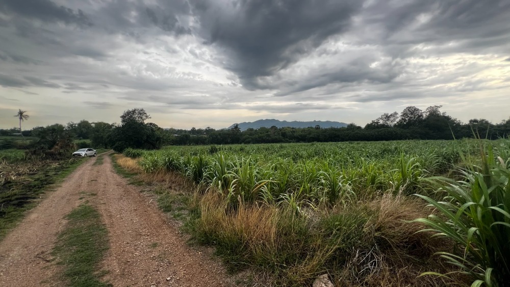 ขายที่ดินสระบุรี : ขายที่ดินเปล่า ทำเลทอง วิวบรรยากาศภูเขาล้อมรอบ อำเภอแก่งคอย จังหวัดสระบุรี