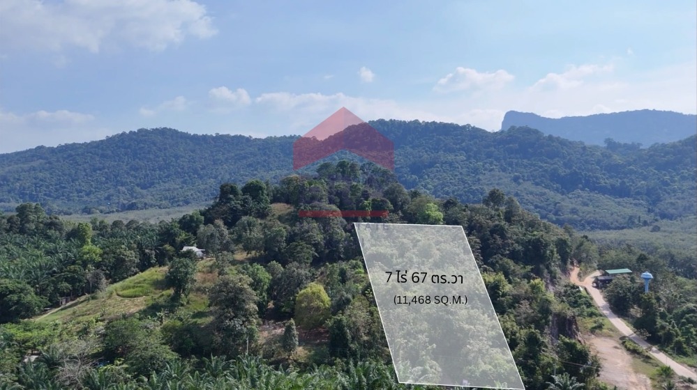 For SaleLandKrabi : Prime Freehold Land in Nong Thale, Krabi - A Luxury Investment Opportunity