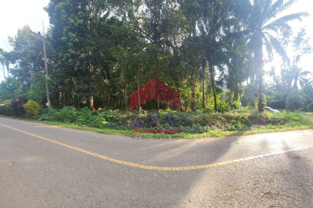 For SaleLandKrabi : Khao Klom Land, Krabi Province