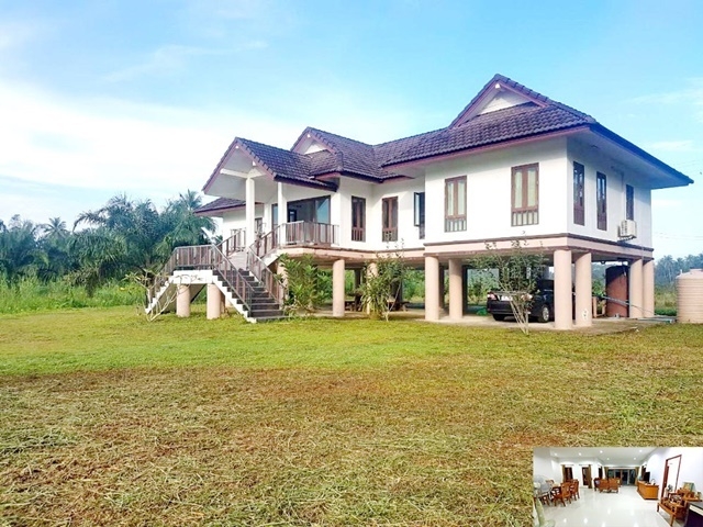 For RentHouseKoh Samui, Surat Thani : Very Peaceful house for rent raised Mansion 3rai 181sq.m. Central SuratThani 2A/C Lotus BigC