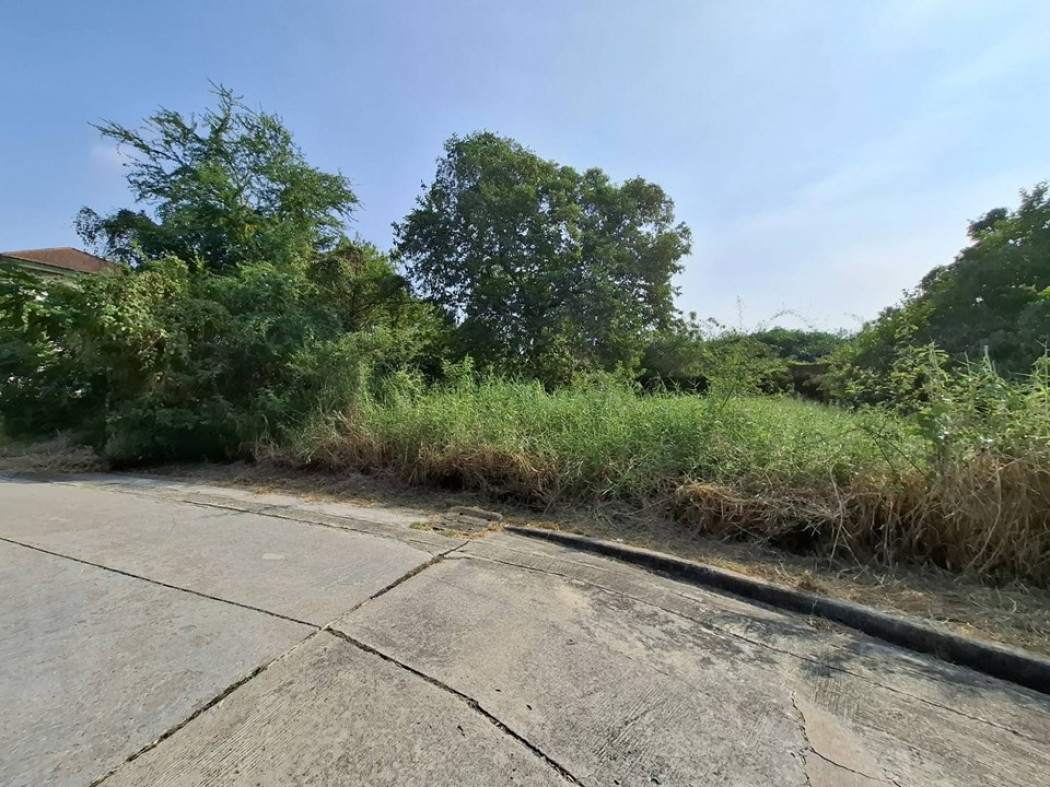 For SaleLandNonthaburi, Bang Yai, Bangbuathong : Prime Land for sale, Chaiyapruek Village, Soi Wat Lat Pla Duk, 81.2 sq.wa, beautiful plot, suitable for building a house, very special price