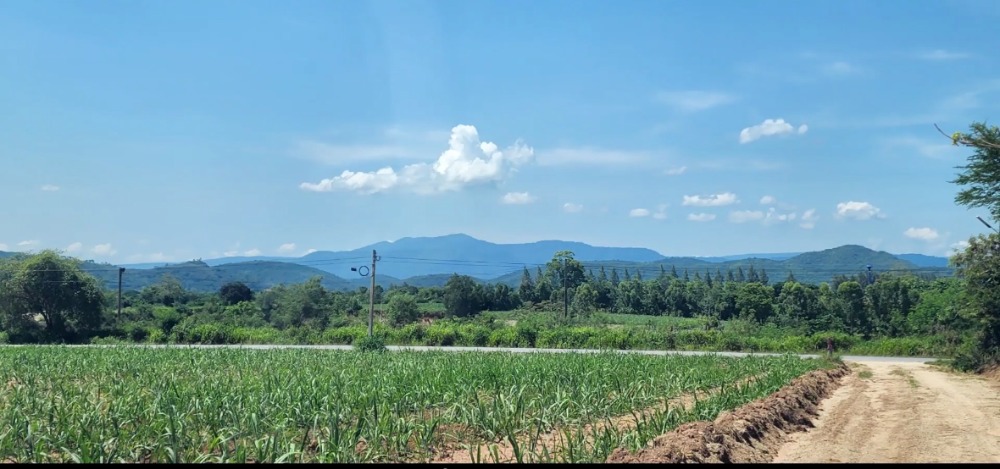 For SaleLandKorat Nakhon Ratchasima : Urgent sale! Beautiful view land 💥Red Garuda title deed 💥Near Rancho Charnvi Golf Course, Nong Sarai 💥