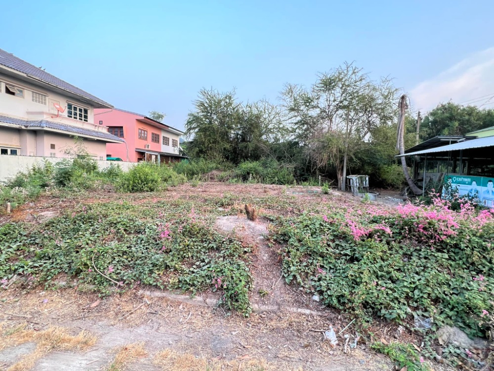 For RentLandCha-am Phetchaburi : For rent/sale, beautiful land, Phetchaburi Province