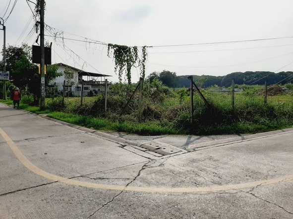 For SaleLandBang kae, Phetkasem : Land for sale, Phetkasem 77, Soi 1, 6 rai filled, opposite Phromsiri Village, only 1.4 km from Phetkasem main road. Suitable for building a village, residential area.