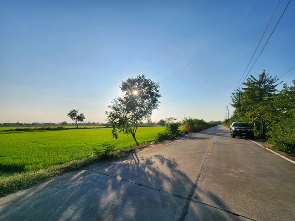 For SaleLandNonthaburi, Bang Yai, Bangbuathong : Land for sale, Sai Noi, near Bang Bua Thong-Suphan Buri Road, size 10 rai, width 126 meters, near Wat Rat Niyom, good location, suitable for agriculture, building a house