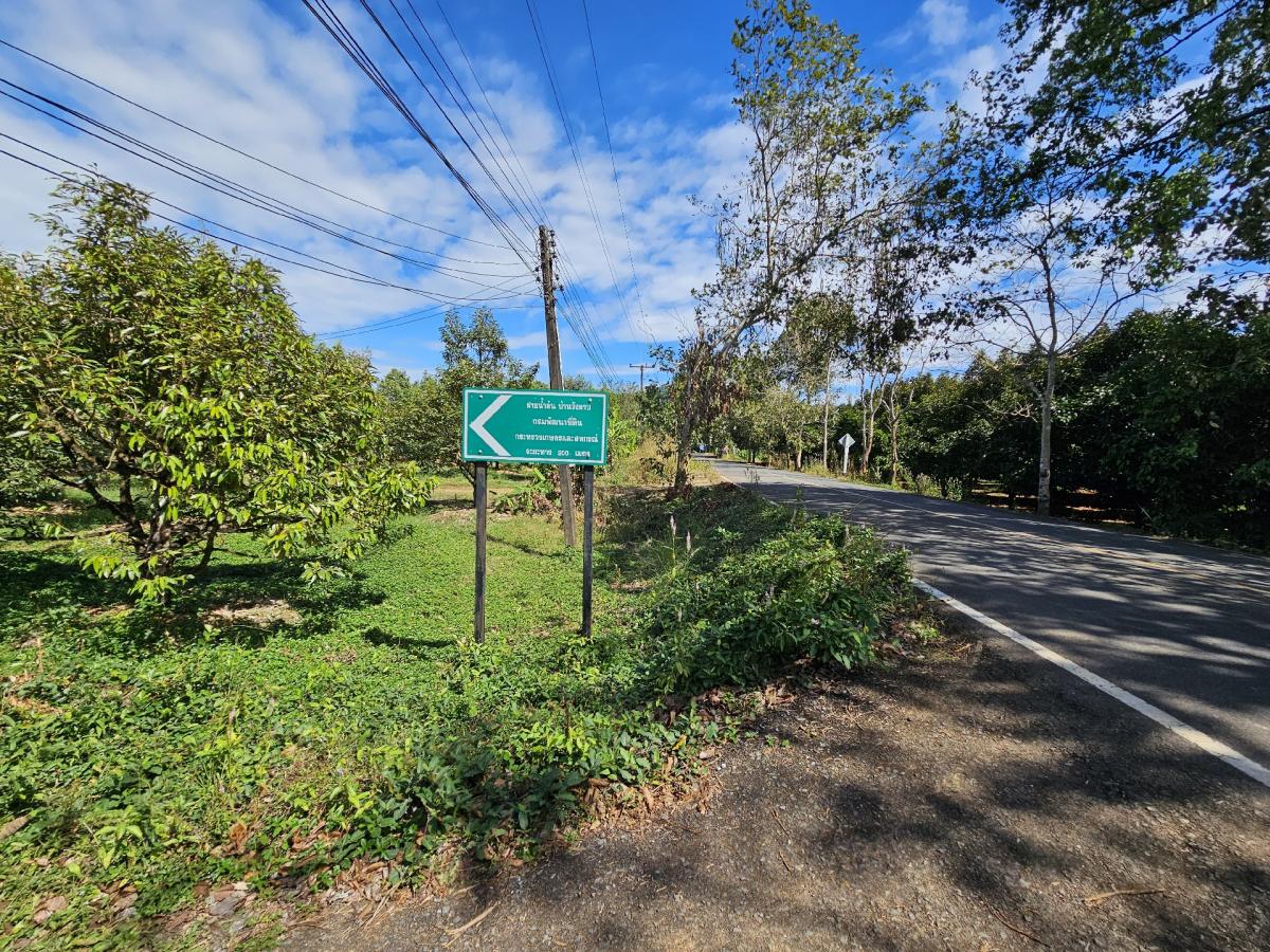 For SaleLandChanthaburi : Durian orchard for sale, title deed, water and electricity ready, Makham District, Chanthaburi