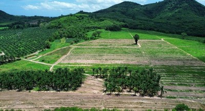 For SaleLandRayong : Land for sale, yellow map, Ban Rai, Plak Daeng (area 1,200 rai, selling for 750,000 baht per rai), Ban Rai, Plak Daeng, Rayong Province