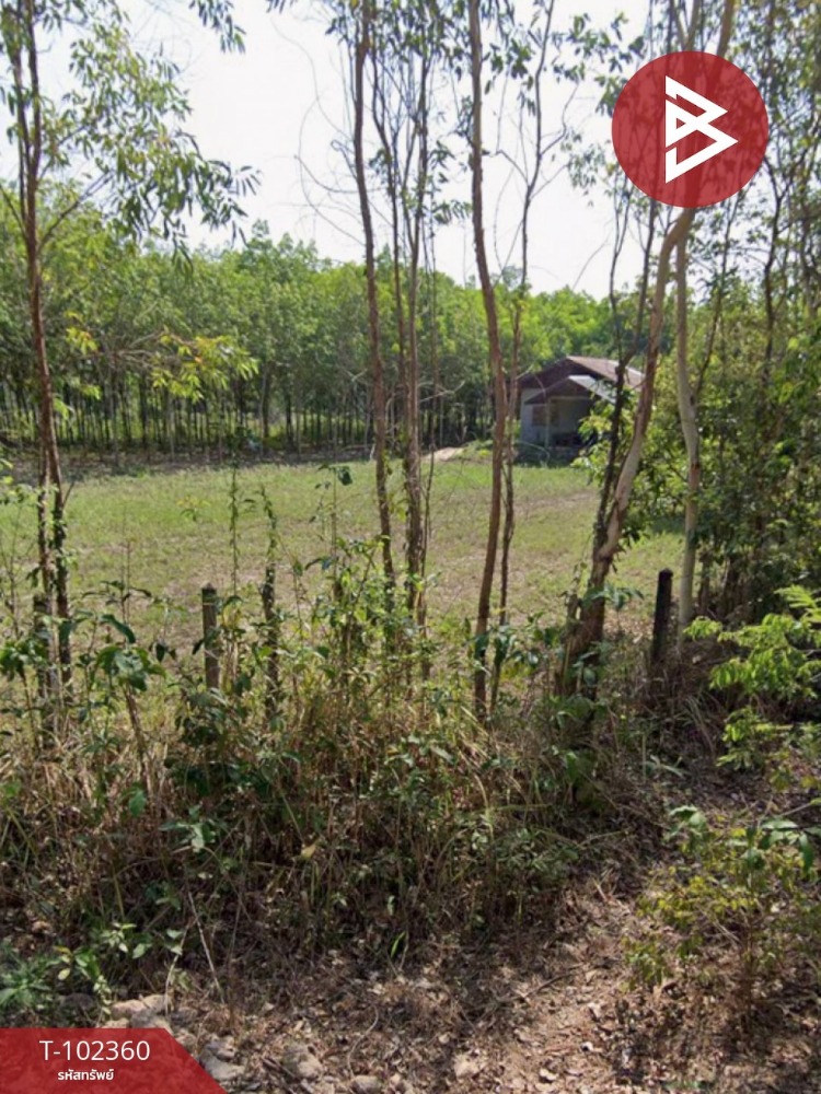 For SaleLandSakon Nakhon : Land for sale, area 6 rai 3 ngan 52 sq m, Non Hom, Sakon Nakhon