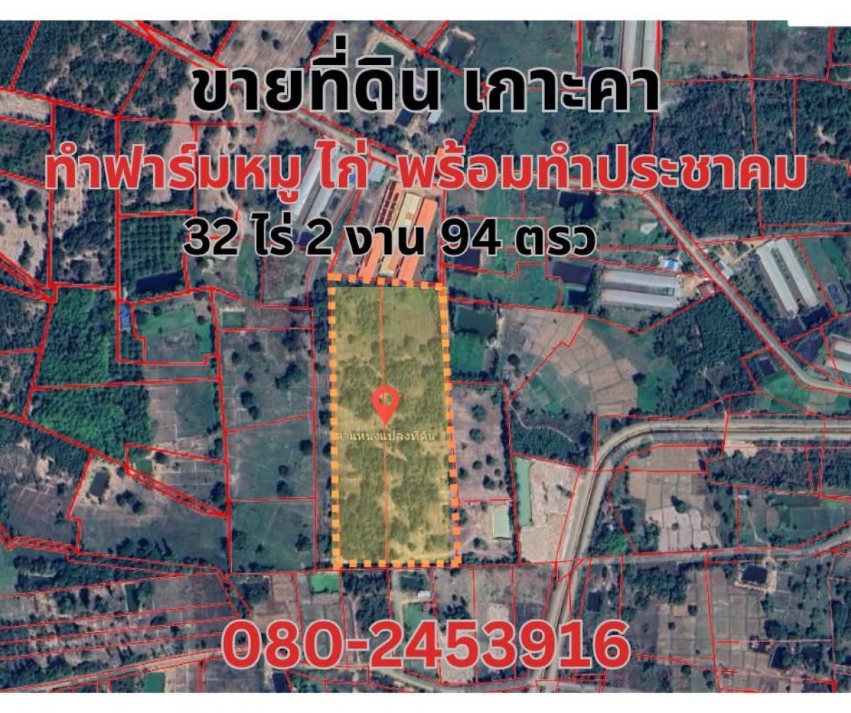 For SaleLandLampang : Land for sale, pig and chicken farm, ready to build a community, Ko Kha District, Lampang Province