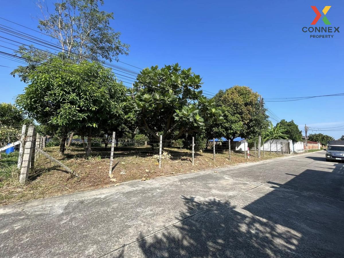 For SaleLandPhutthamonthon, Salaya : For Sale Filled land, Phutthamonthon Sai 3 Road. , Thawi Watthana , Thawi Watthana , Bangkok , CX-112494