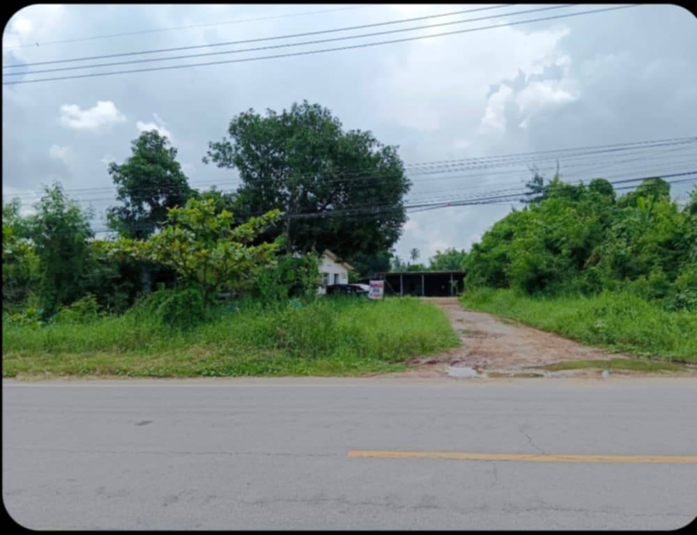 For SaleLandKorat Nakhon Ratchasima : For sale: vacant land next to the road, prime location, Pak Thong Chai District, Nakhon Ratchasima Province