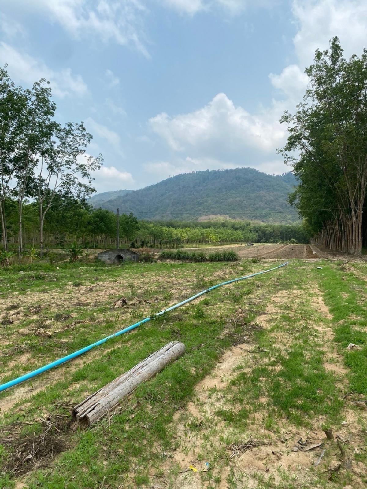 For SaleLandRayong : 5 rai 52 sq m. Land for sale with mountain view, stream, Ban Kai, Rayong, public access on 2 sides