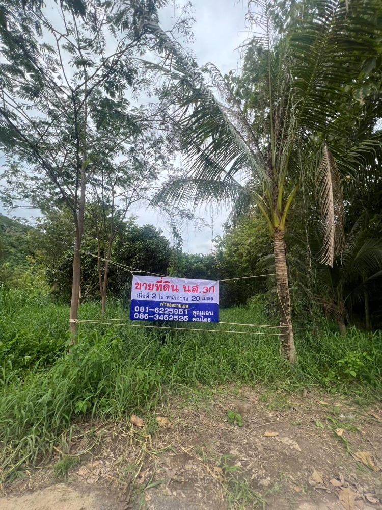 For SaleLandSaraburi : For sale: 2 rai of vacant land, prime location, Kaeng Khoi District, Saraburi Province