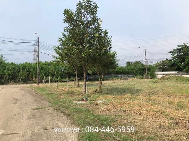 For SaleLandPattanakan, Srinakarin : Land for sale in Phatthanakan, size 243 square wah, beautiful land suitable for building a house, office, etc.