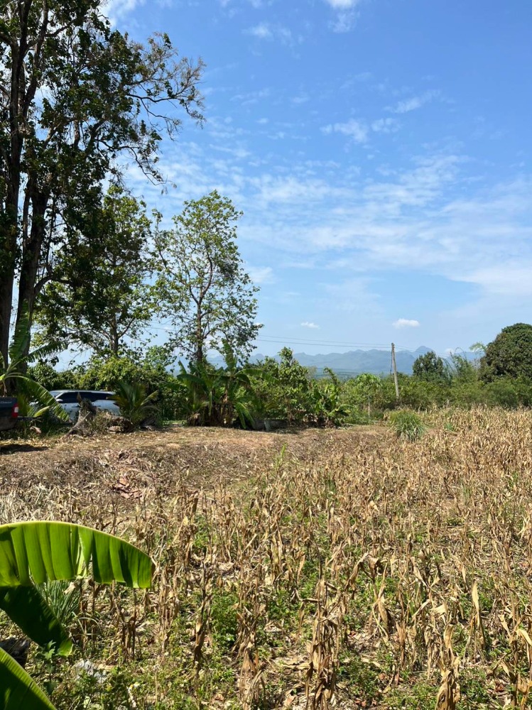 For SaleLandChiang Mai : Land for sale, hillside, good air, beautiful view, Chiang Dao District, 9 rai