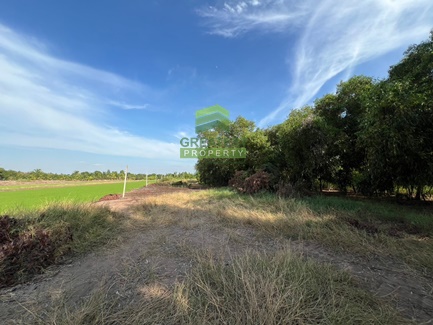 For SaleLandPathum Thani,Rangsit, Thammasat : Land for sale in Nong Suea, Khlong 14, Pathum Thani, 18 rai, good location, suitable for building a house, land plot, negotiable price