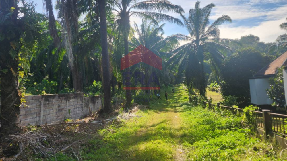 For SaleLandKrabi : Land for sale in Ao Nang, Krabi