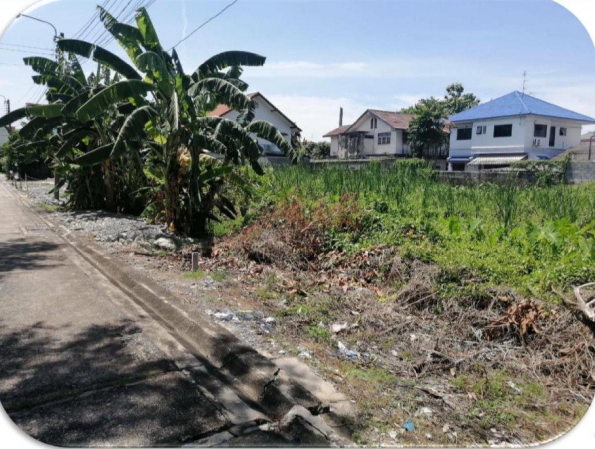 For SaleLandNonthaburi, Bang Yai, Bangbuathong : Urgent! Cheap sale, 99 sq m land, Soi Tiwanon 24, prime location in the heart of Nonthaburi.