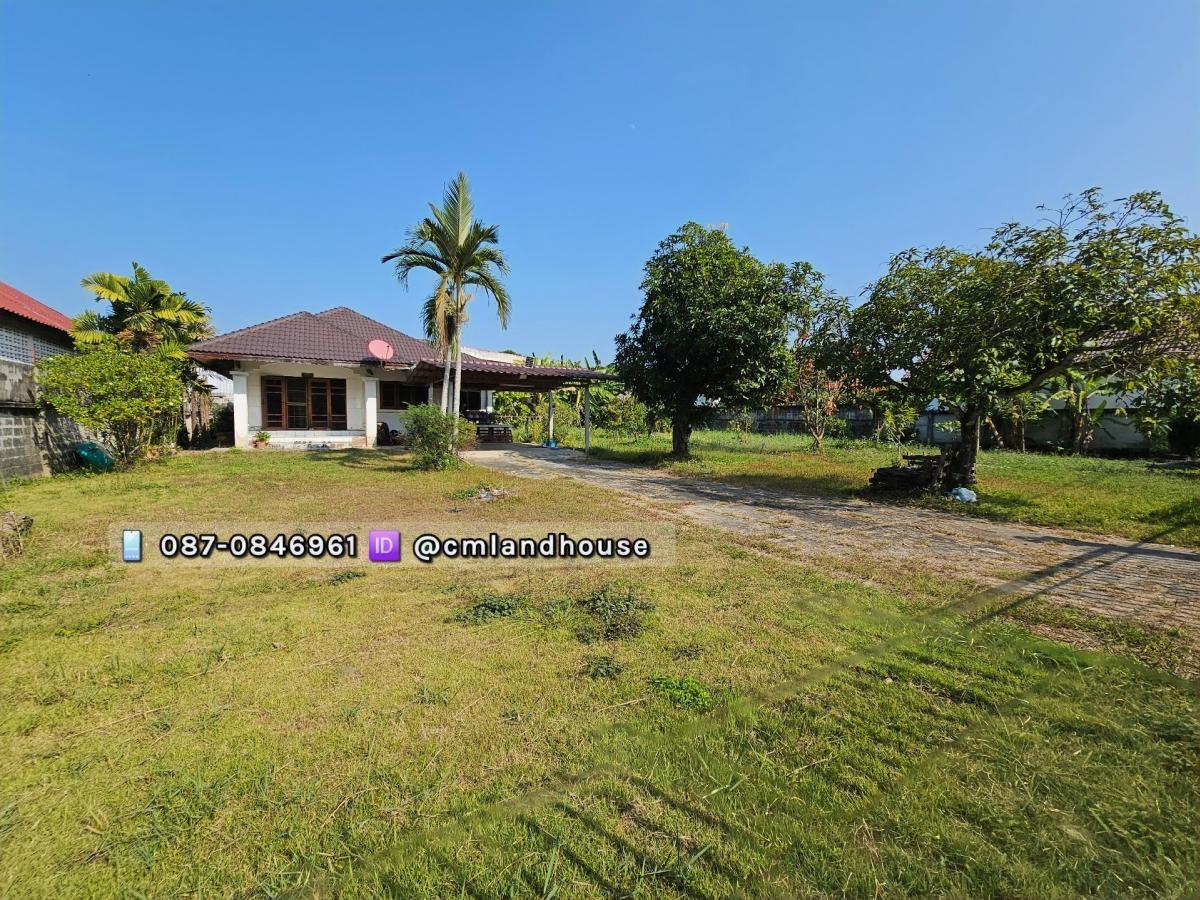 For SaleHouseChiang Mai : House with land area 308 sq.w. (almost 1 rai) near Central Festival 8 km. near Ruamchok 8 km. near San Sai Old Road, only 150 meters, walk to catch a bus.