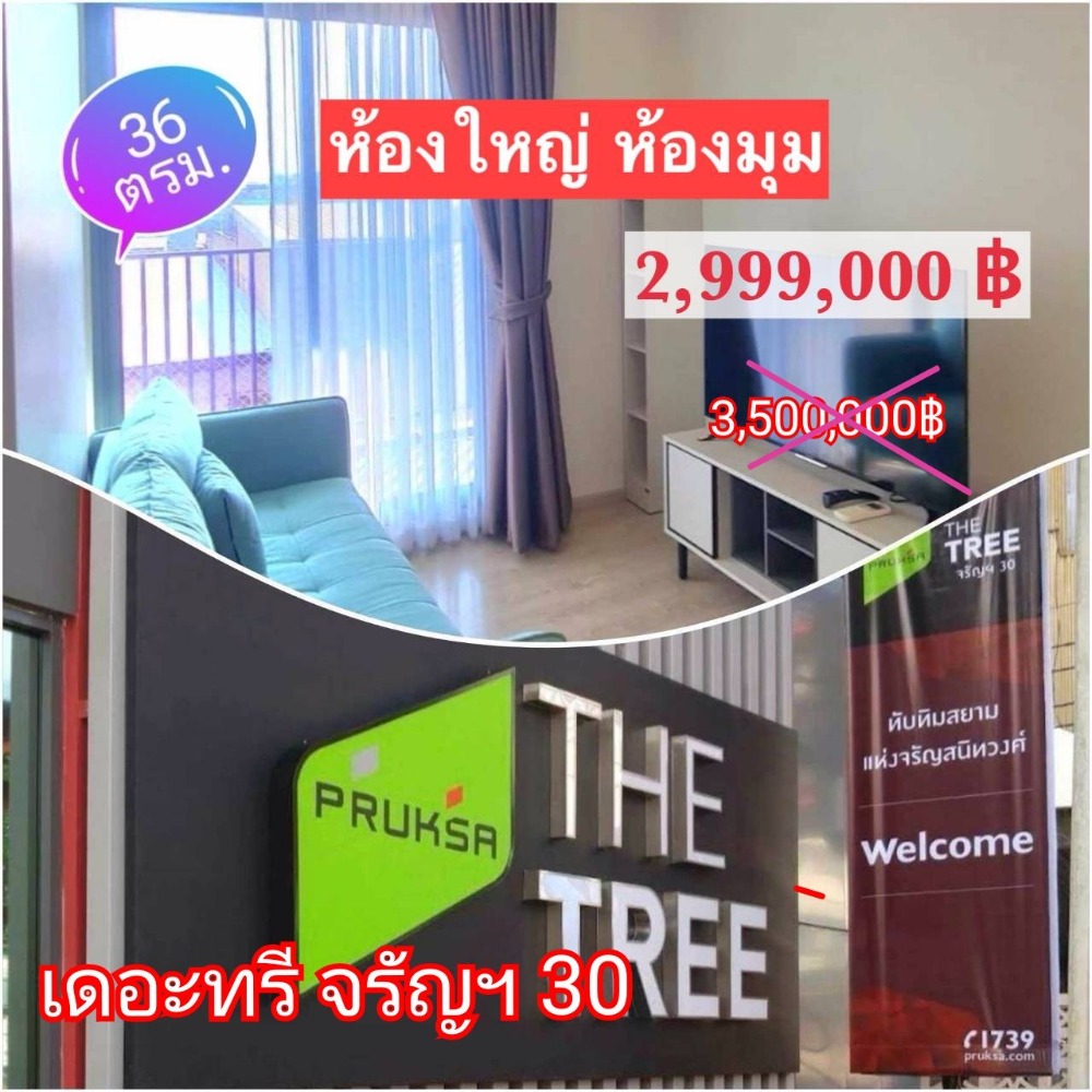 ขายคอนโดปิ่นเกล้า จรัญสนิทวงศ์ : ขาย Condo The Tree Charan 30 ห้องมุม 36 ตรม.