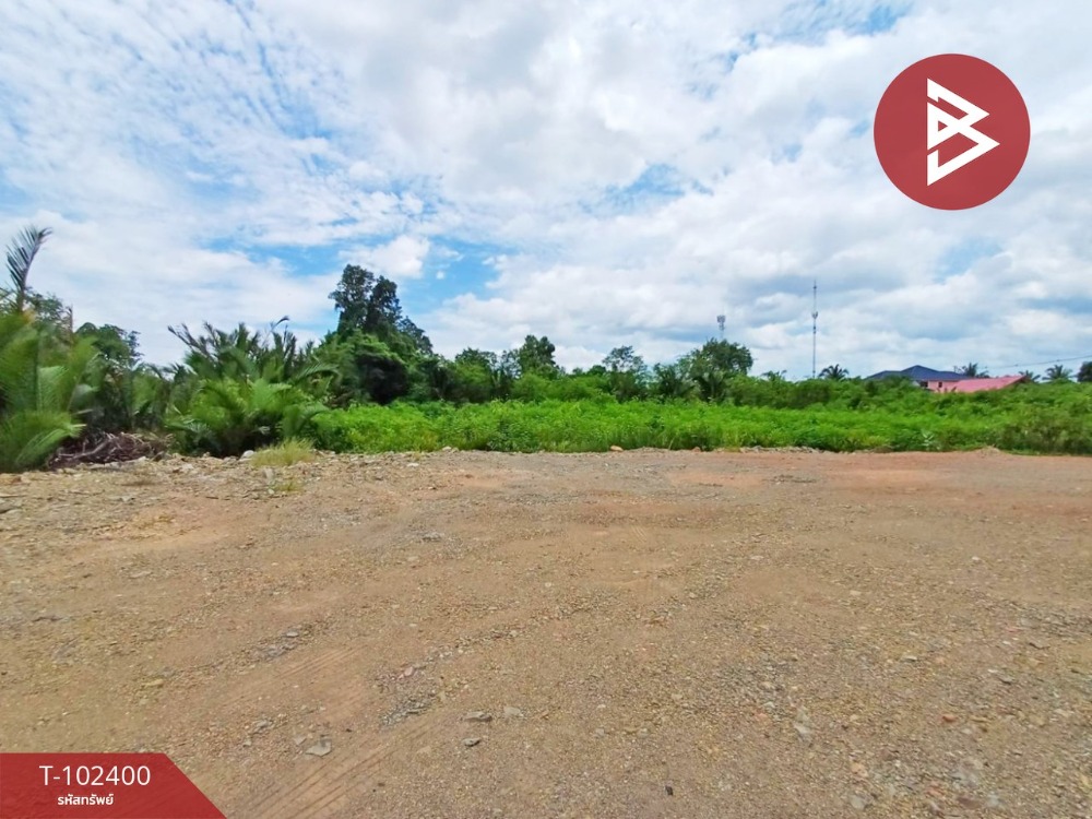 For SaleLandSamut Songkhram : Land for sale, filled in, area 3 rai 1 ngan 46.7 sq.wa, Nang Takhian, Samut Songkhram