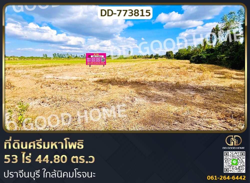 ขายที่ดินปราจีนบุรี : ที่ดินศรีมหาโพธิ 53 ไร่ 44.80 ตร.ว ปราจีนบุรี ใกล้นิคมโรจนะ