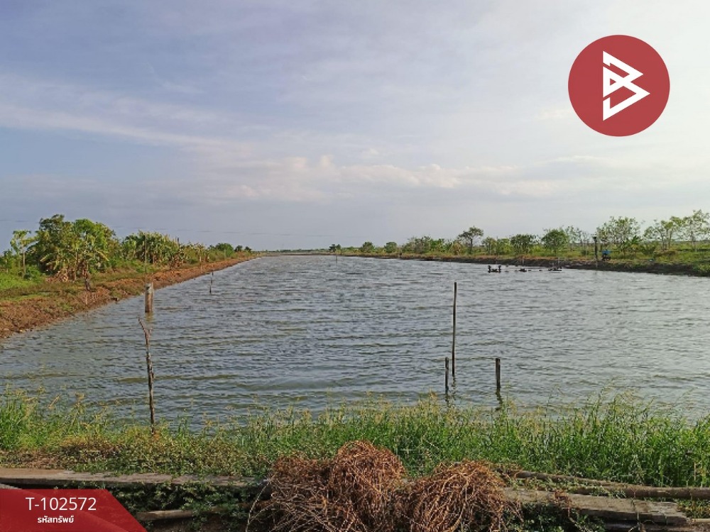 For SaleLandChachoengsao : Land for sale, area 24 rai, Bang Pakong, Chachoengsao