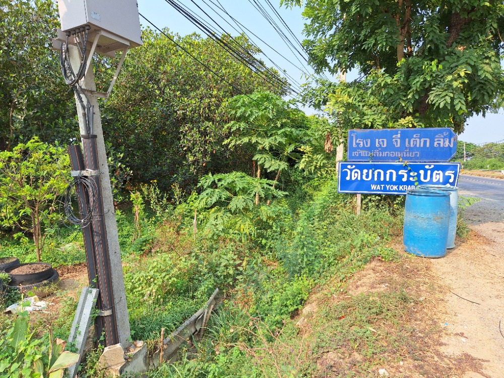 For RentLandNakhon Pathom : Land for rent on Malai Man Road, long term, Thap Luang Subdistrict, Nakhon Pathom Province