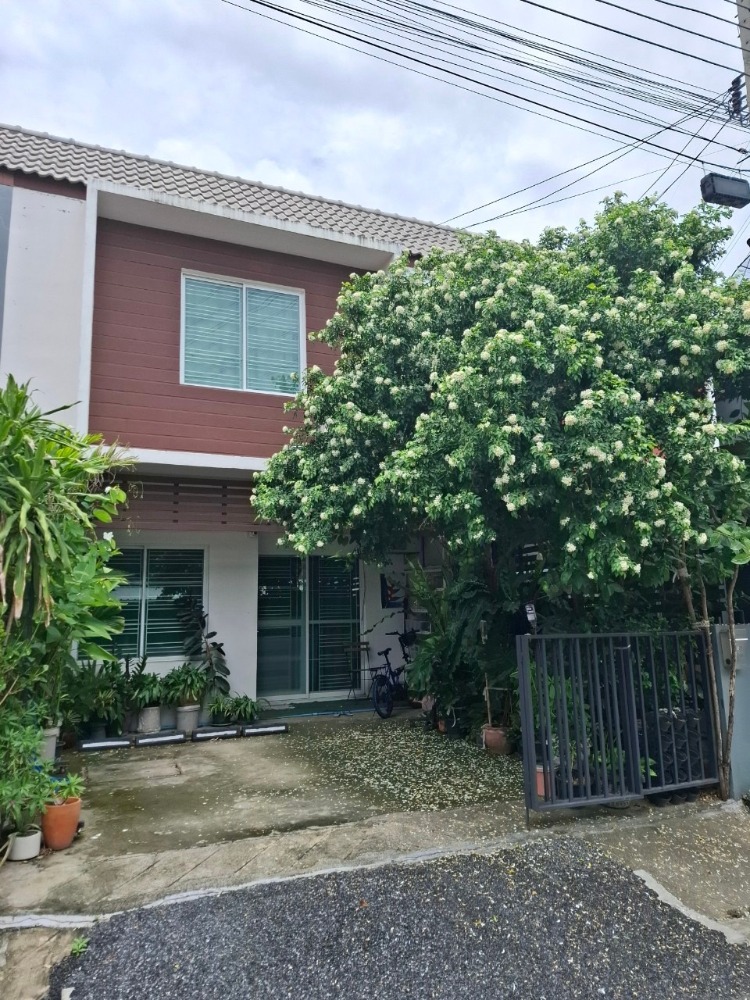 For RentHouseBangna, Bearing, Lasalle : House for rent near Mega Bangna, cheap price, Suvarnabhumi, Bangna-Trad intersection, MEGA Bangna, IKEA, near Suvarnabhumi International School, next to Mega Bangna, Bangna Townhome, Bearing, Lasalle