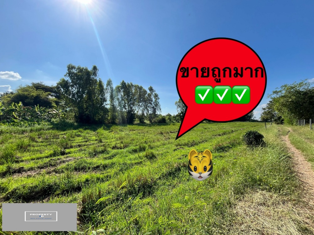 For SaleLandSaraburi : Land for sale,  土地出售rice field view, on the main road, convenient travel, very good location, Nong Nak, Nong Khae, Saraburi, buy and keep for future investment or make a subdivision to sell.