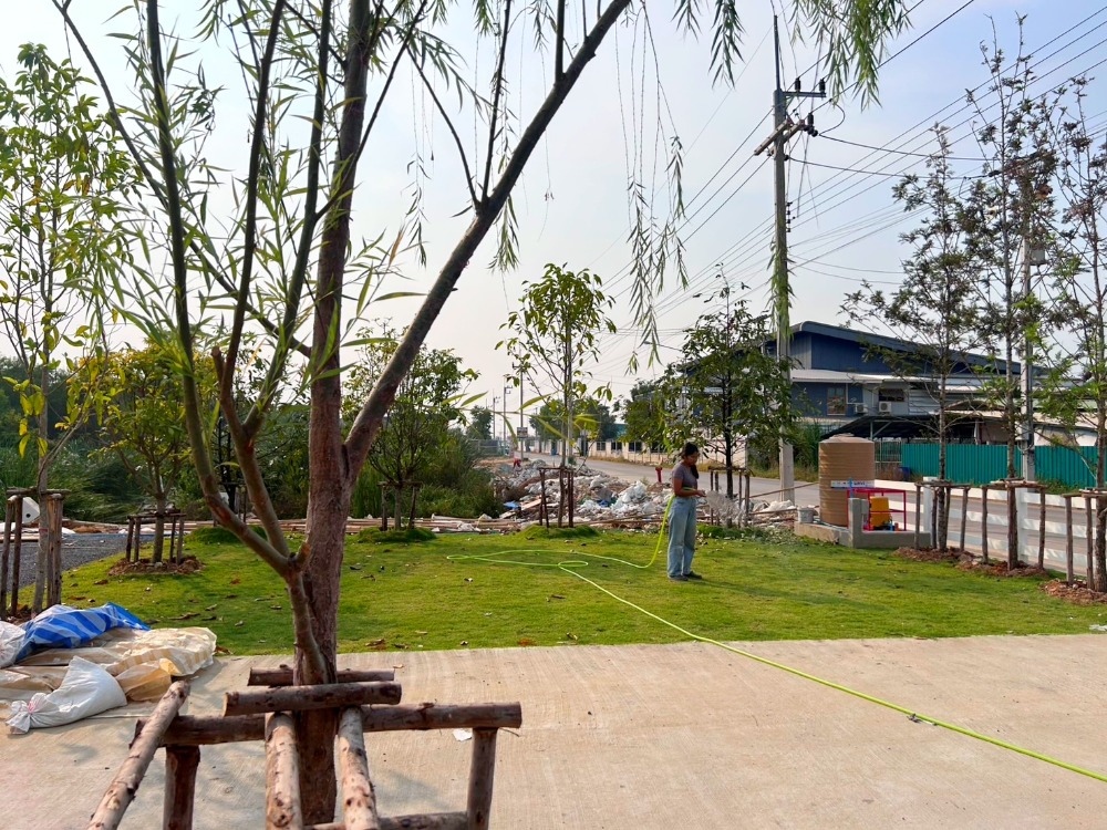 For RentHousePathum Thani,Rangsit, Thammasat : Private luxury home, Private Eden, pets allowed