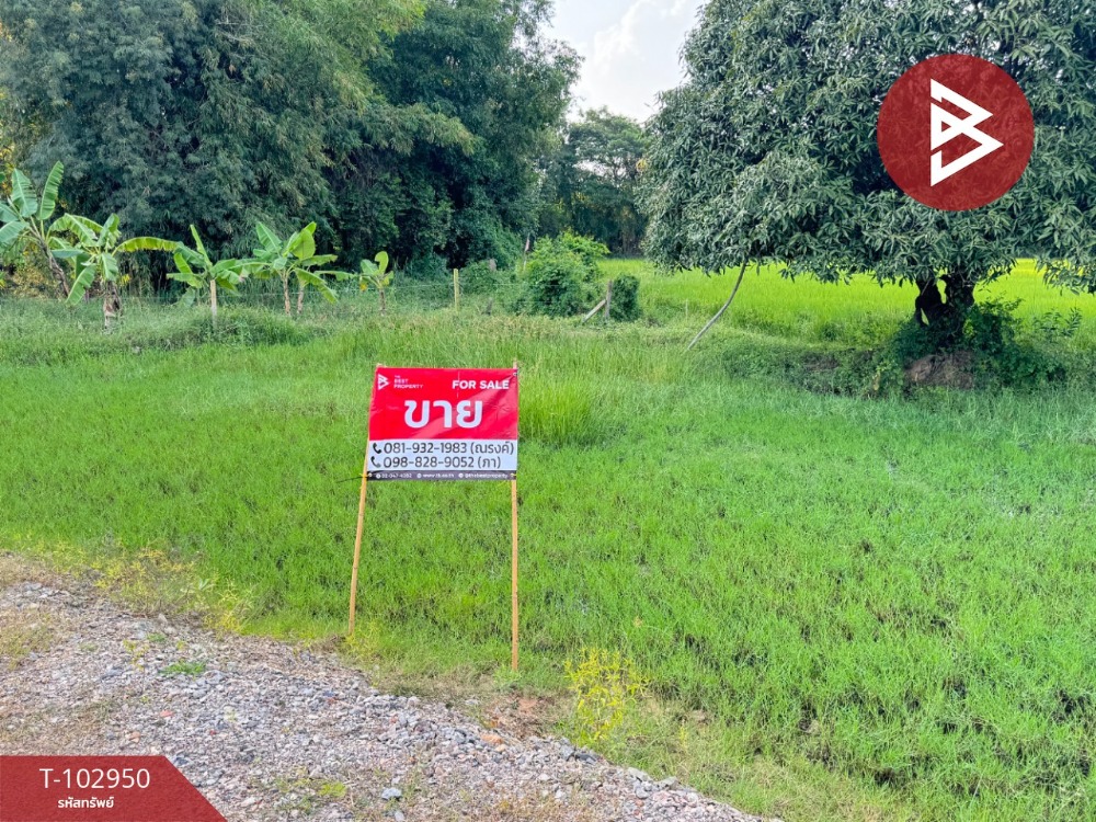 For SaleLandCha-am Phetchaburi : Land for sale, area 2 ngan 45.7 sq.wa, Tha Yang, Phetchaburi, good location