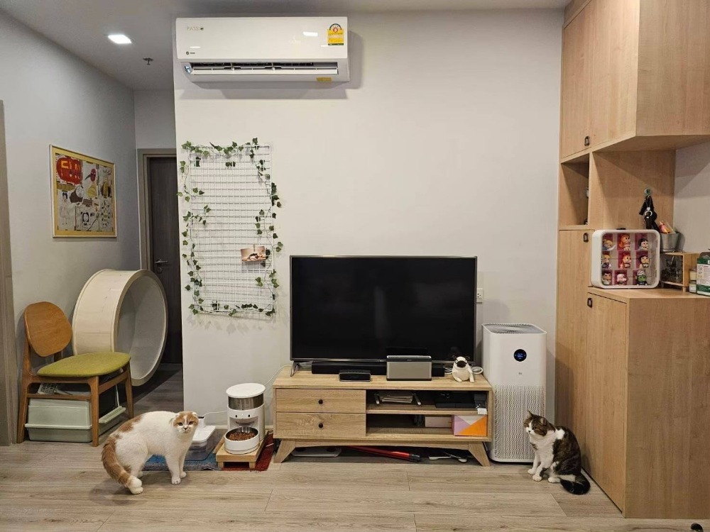 For SaleCondoLadprao, Central Ladprao : Pet-friendly condo, Metris Lat Phrao, 47 square meters room, best price in the building