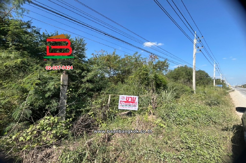 For SaleLandChiang Mai : Vacant land next to Sirimangklacharn Temple, area 32-2-35 rai, Chiang Mai-Chom Thong Road (108), Doi Lo Subdistrict, Doi Lo District, Chiang Mai Province