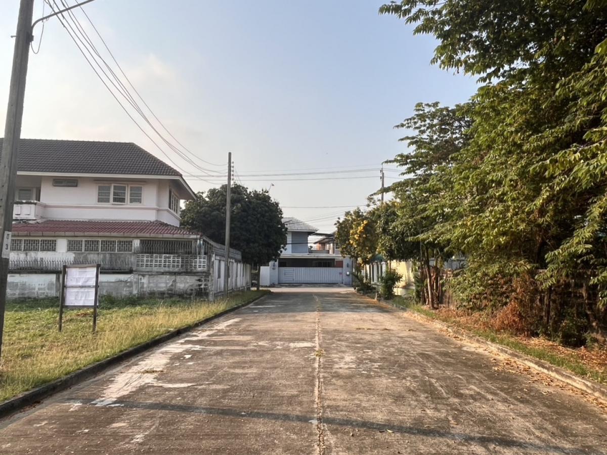 For SaleHousePinklao, Charansanitwong : Land for sale in Krisad Nakhon, 20-Borom