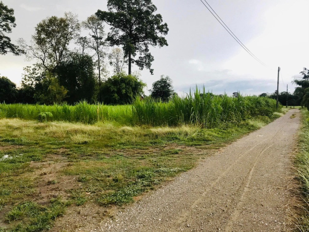 For SaleLandRatchaburi : Land for sale in Ratchaburi, 16+ rai, cheap price!!!