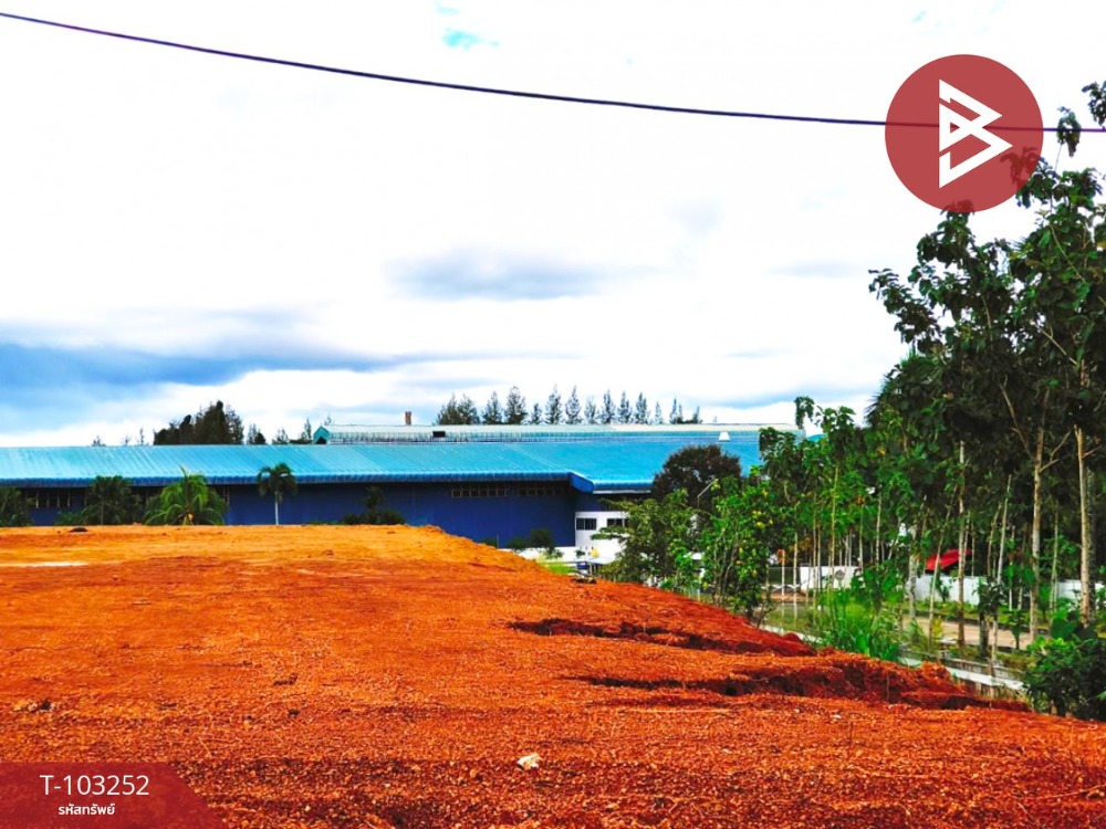 For RentLandChumphon : For rent: vacant land, area 5 rai 2 ngan 57 sq m, Tha Sae, Chumphon