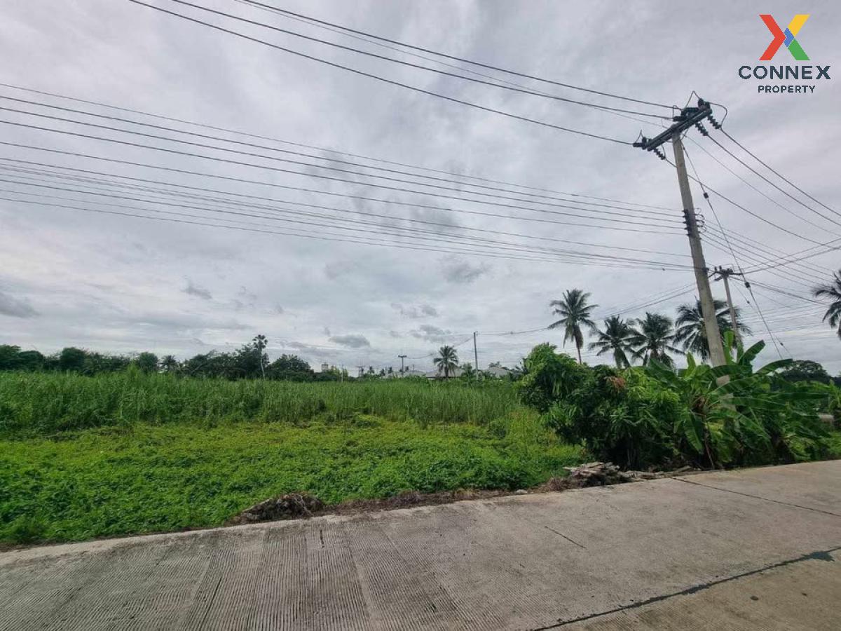 For SaleLandPhutthamonthon, Salaya : For Sale Empty land for sale, Sam Phran, 10 rai. , Sam Phran , Sam Phran , Nakhon Pathom , CX-113878