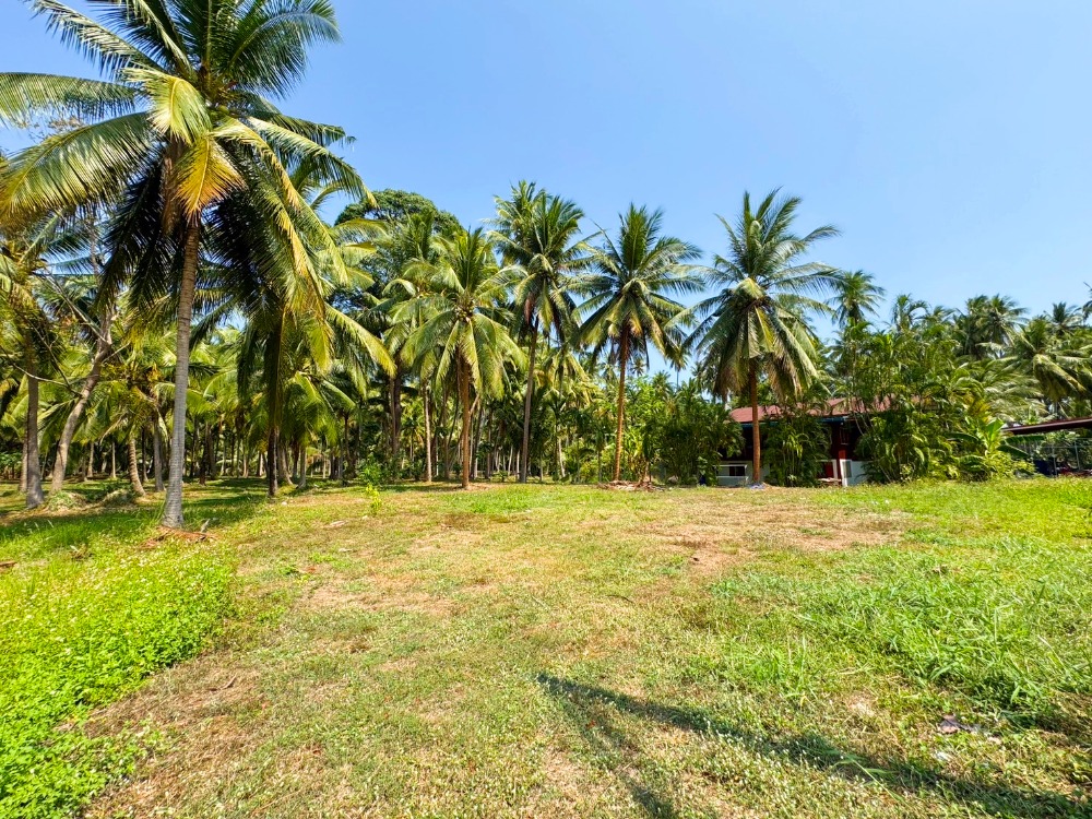 For SaleLandHuahin, Prachuap Khiri Khan, Pran Buri : 🎉Urgent sale of land, Bang Saphan, Prachuap Khiri Khan, near Ban Krut Beach, size 189 sq m, T. Thongchai, A. Bang Saphan, Prachuap Khiri Khan Province, water and electricity available, suitable for a vacation home / pool villa, very good atmosphere, near