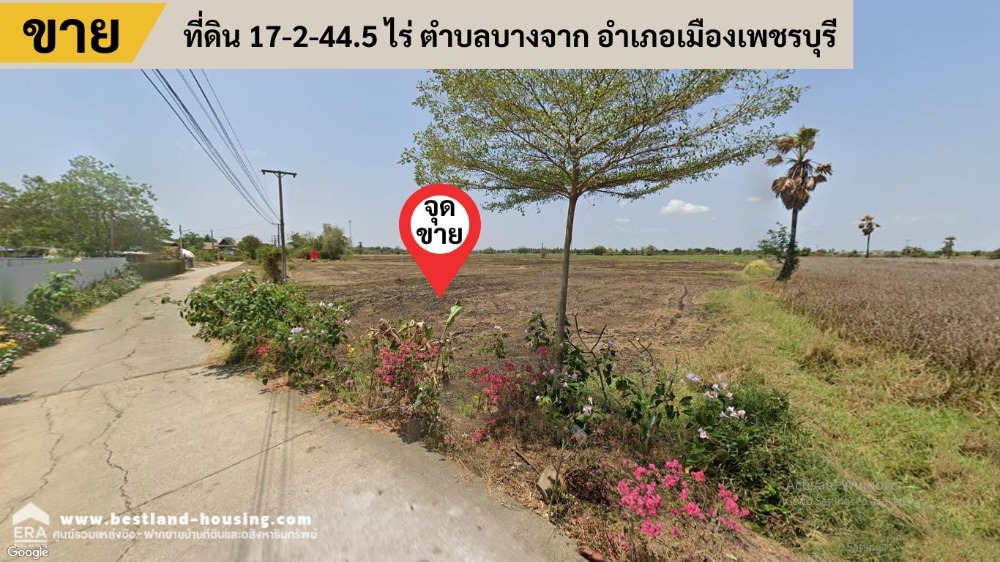 ขายที่ดินชะอำ เพชรบุรี : ขายที่ดิน 17-2-44.5 ไร่ ตำบลบางจาก อำเภอเมืองเพชรบุรี ☎️สนใจติดต่อ คุณณภัทร 081-402-4145