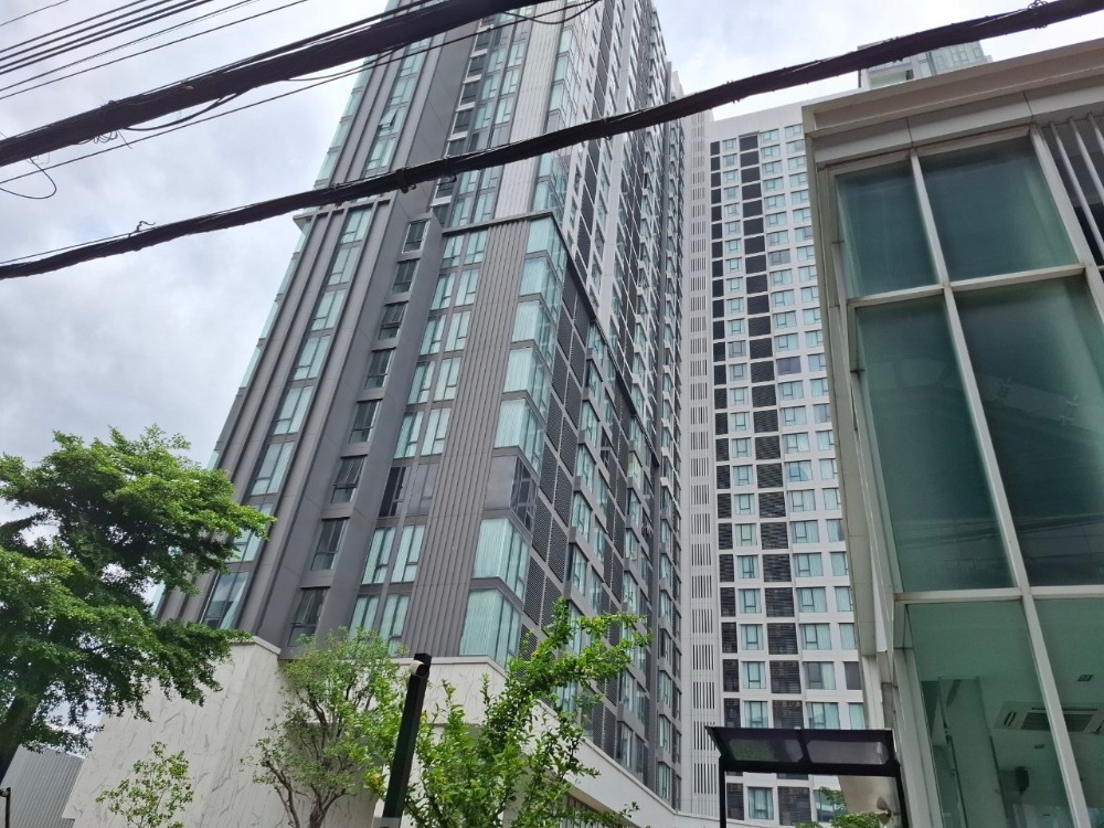 For SaleCondoKasetsart, Ratchayothin : Condo Ciela Sripatum (CIELA Sripatum)